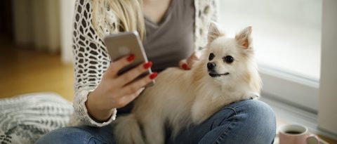 Woman with dog using her phone
