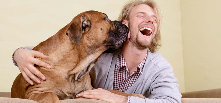 Paul the pet lover gets a kiss from large dog